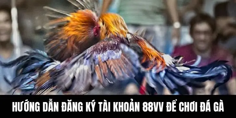 Hướng dẫn đăng ký tài khoản nhà cái 88 vv để chơi đá gà