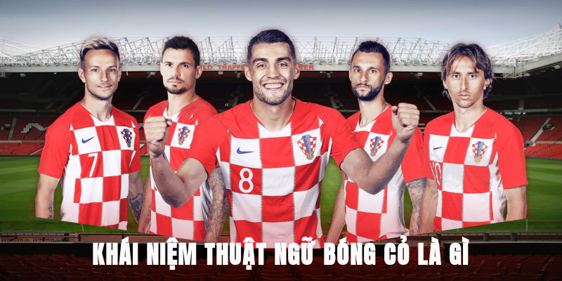 Khái niệm, thuật ngữ bóng cỏ là gì?